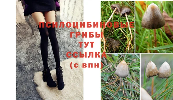 гидра Балабаново